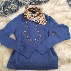 Ann Taylor 100% Superfine Wool Long Sleeve Sweater